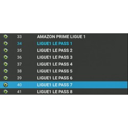 LE PASS LIGUE 1